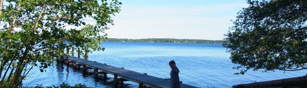 Vand og skov hører sammen med den danske sommer